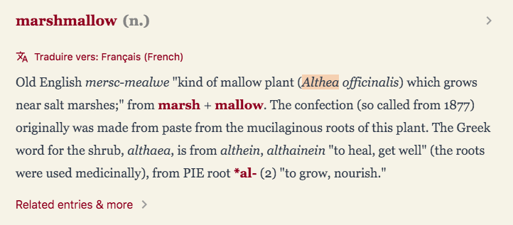 Altea, “Covid-Long“ Network, Zürich, Suisse