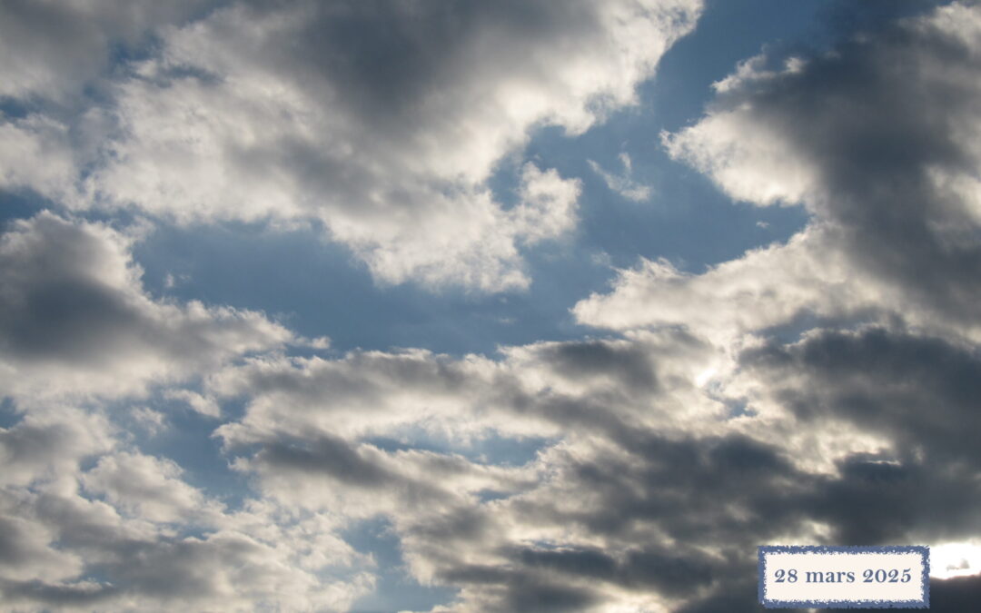 Les chemtrails sont une réalité / The chemtrails are a reality
