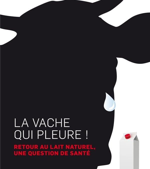 Le lait frais et cru d’une vache aimée et bien nourrie